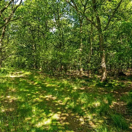 Lovely In With Kitchen *