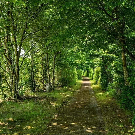 Lovely In With Kitchen Nyaraló *